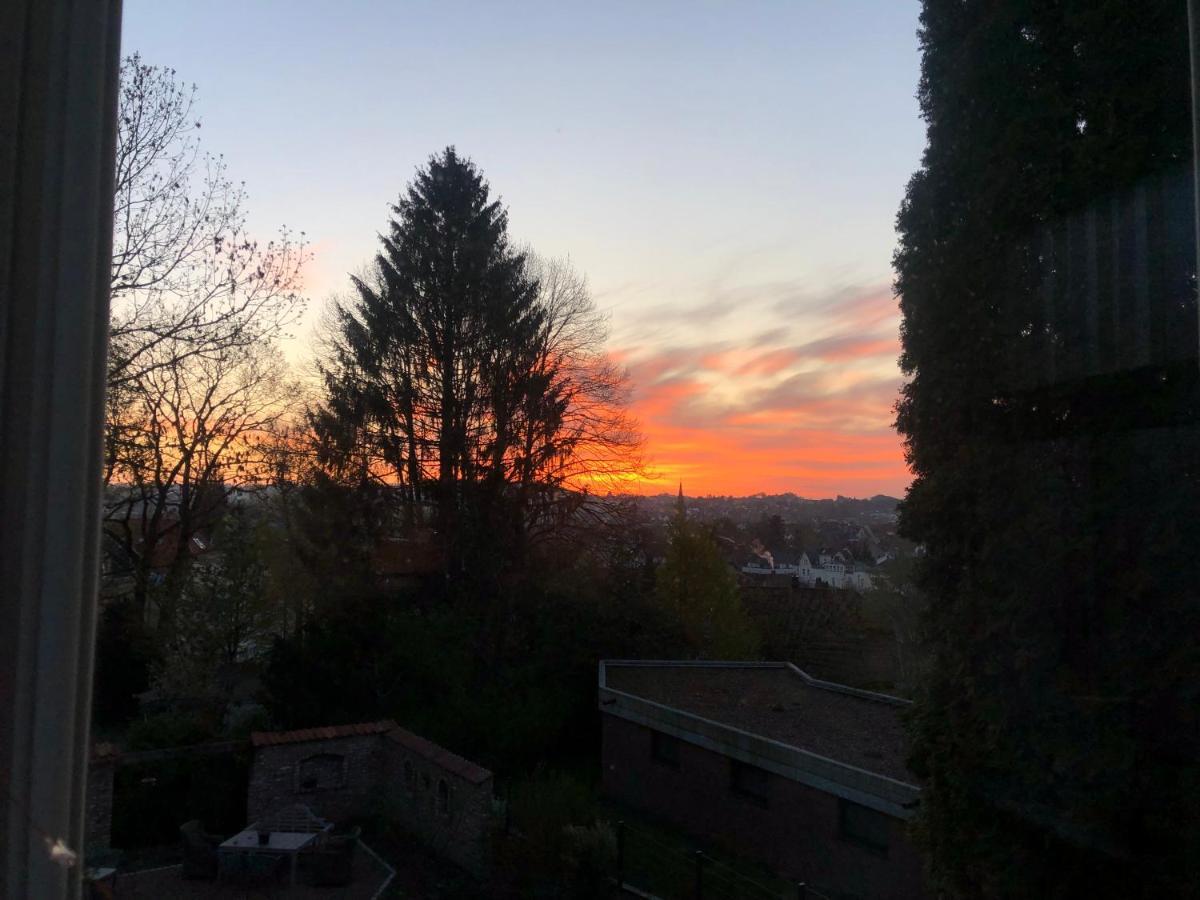 Villa Rosa - Sky Detmold Exteriör bild