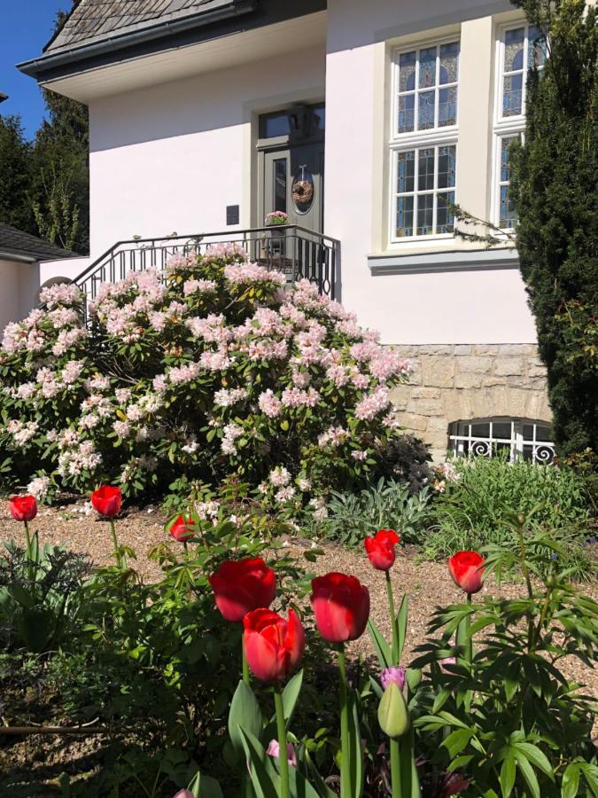 Villa Rosa - Sky Detmold Exteriör bild